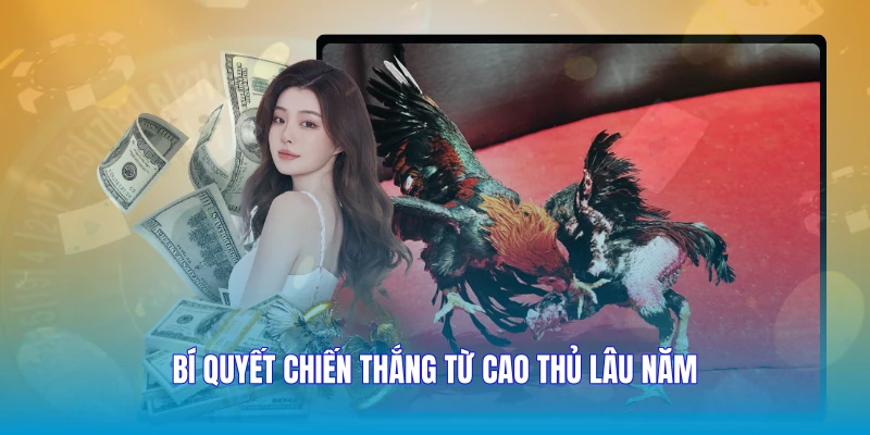 Bí quyết chiến thắng từ cao thủ lâu năm